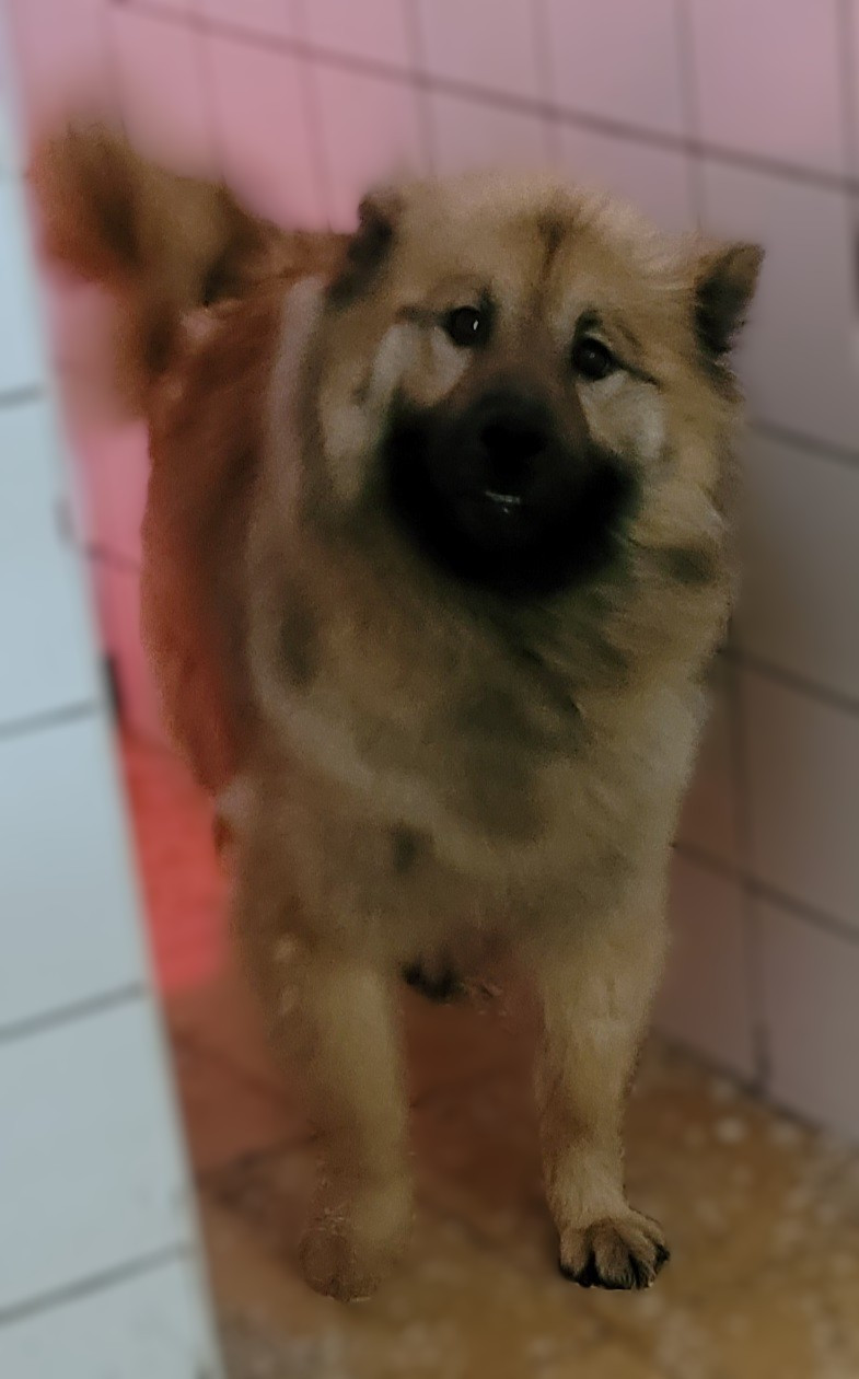 Publication : Des marais de courmont 