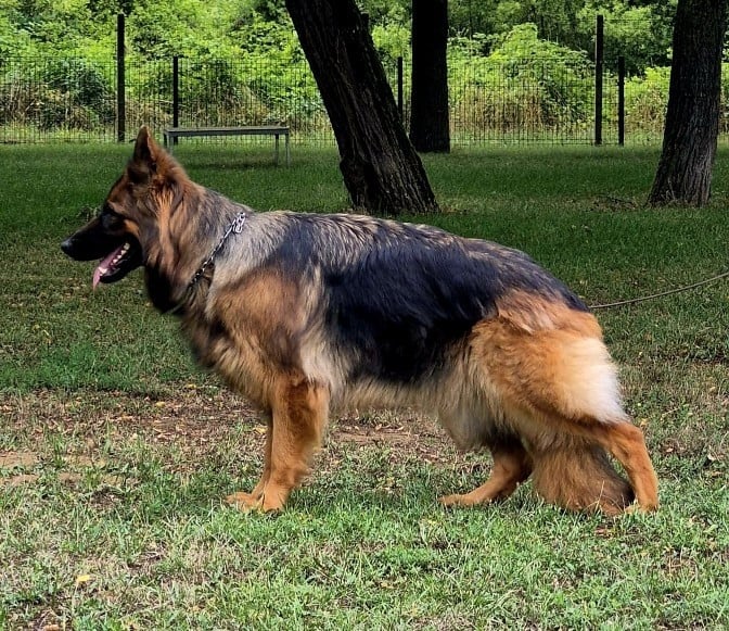 Publication : Du Royaume De Flasch 