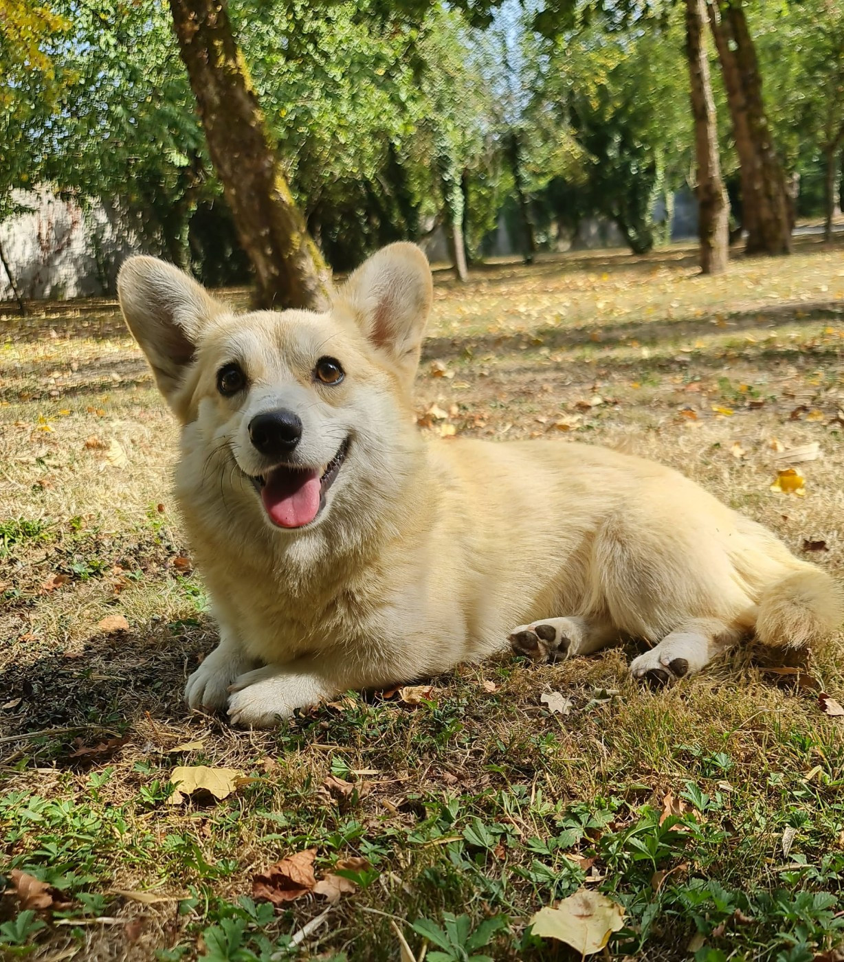 Publication : Des Yeux D'Osiris