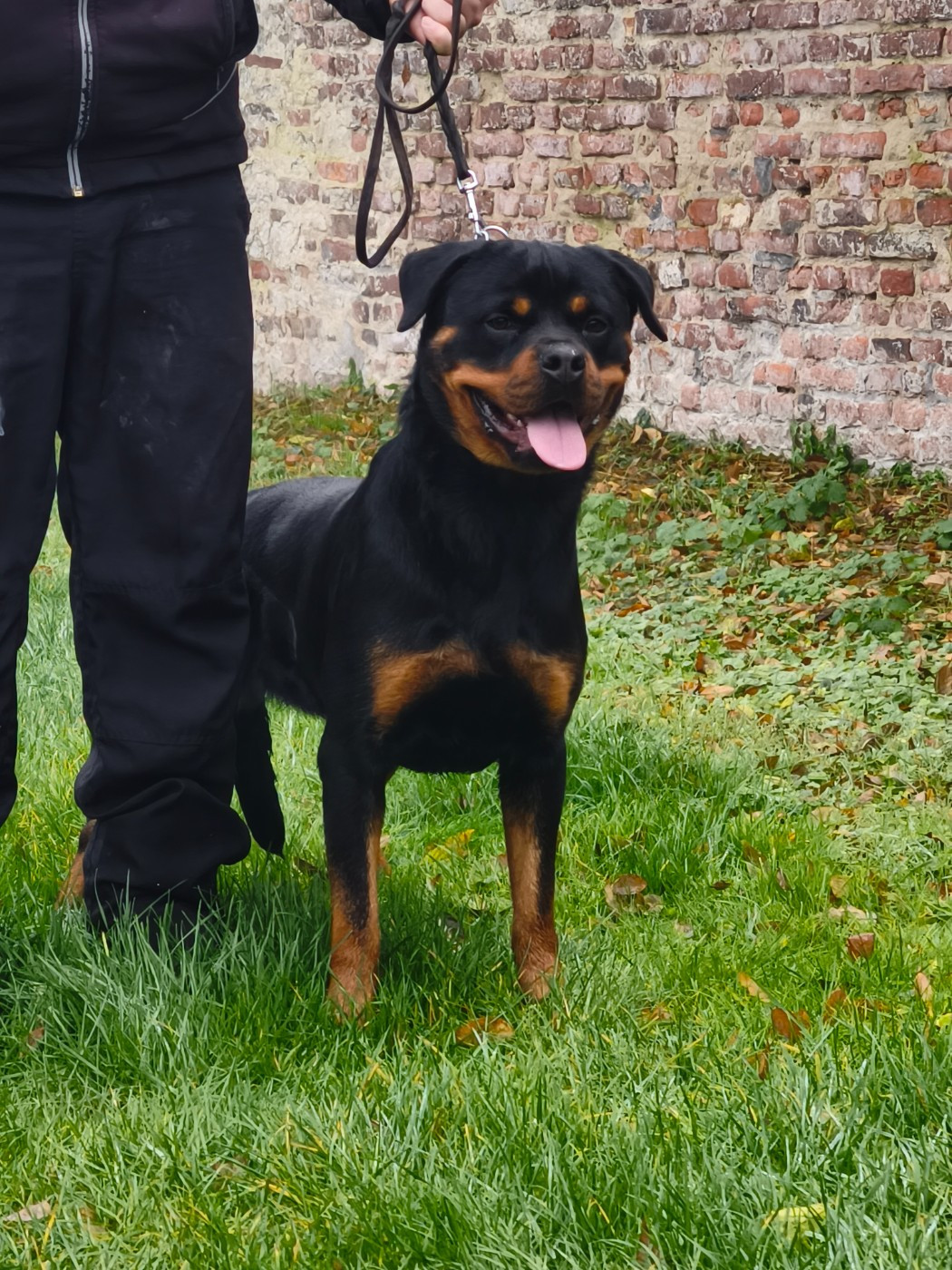 Publication : Des Guerriers De Leia