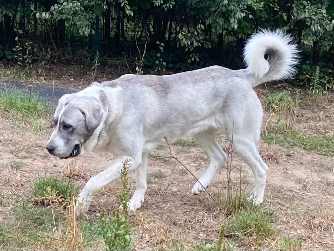 Publication : Du Domaine De La Saulzie Auteur : Domaine de la Saulzie