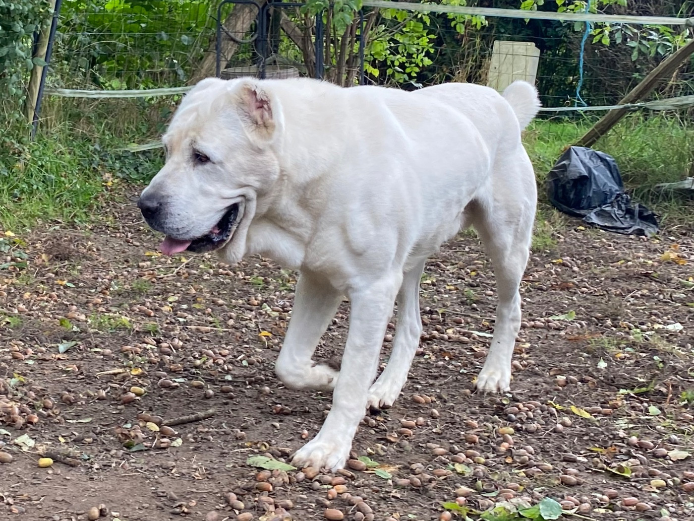 Publication : Du Domaine De La Saulzie Auteur : Domaine de la Saulzie