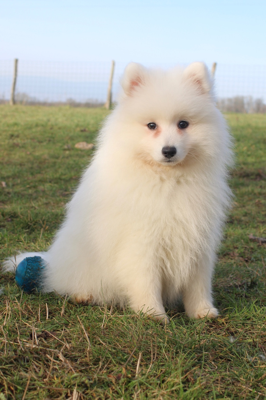 Publication : Of Volkana 