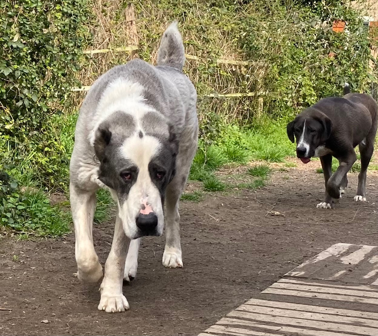 Publication : Du Domaine De La Saulzie Auteur : Domaine de la Saulzie