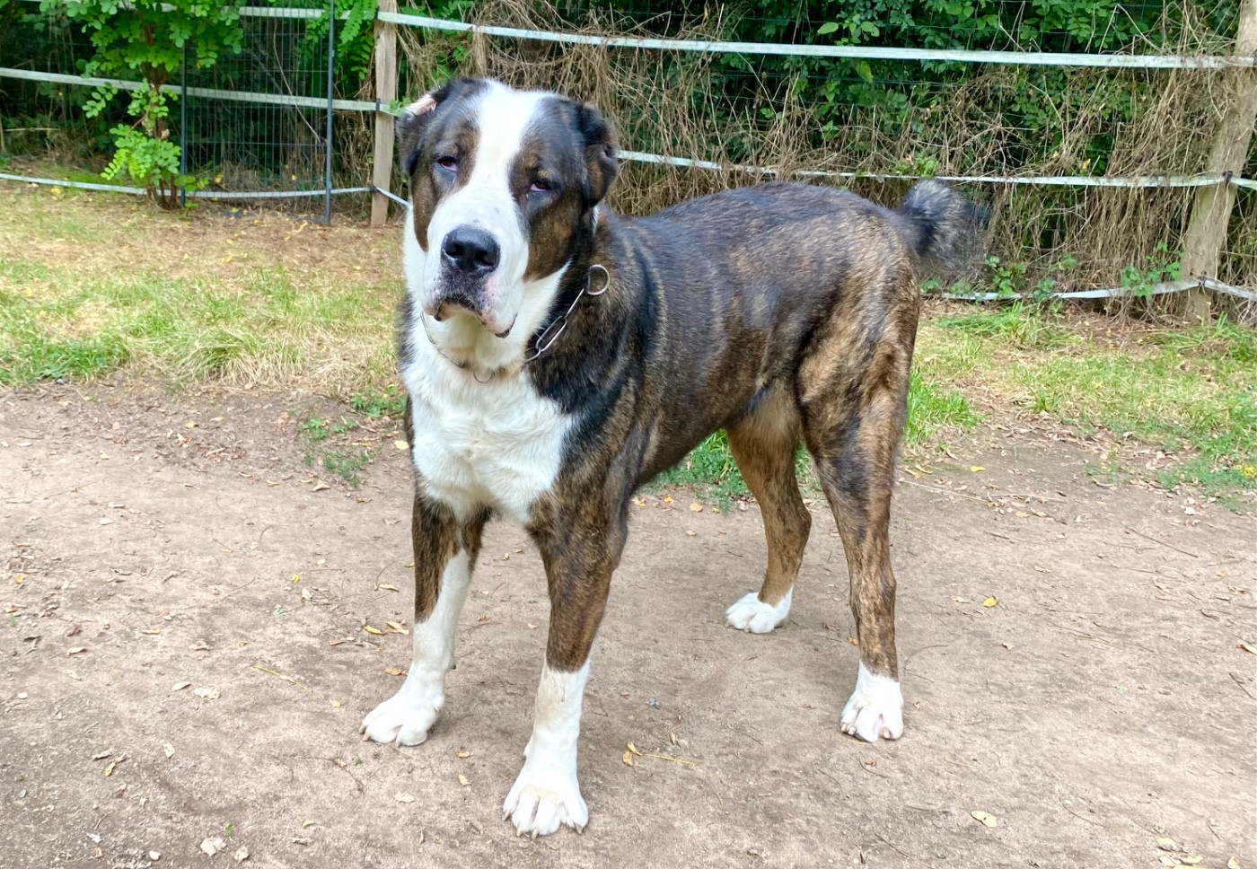 Publication : Du Domaine De La Saulzie Auteur : Domaine de la Saulzie