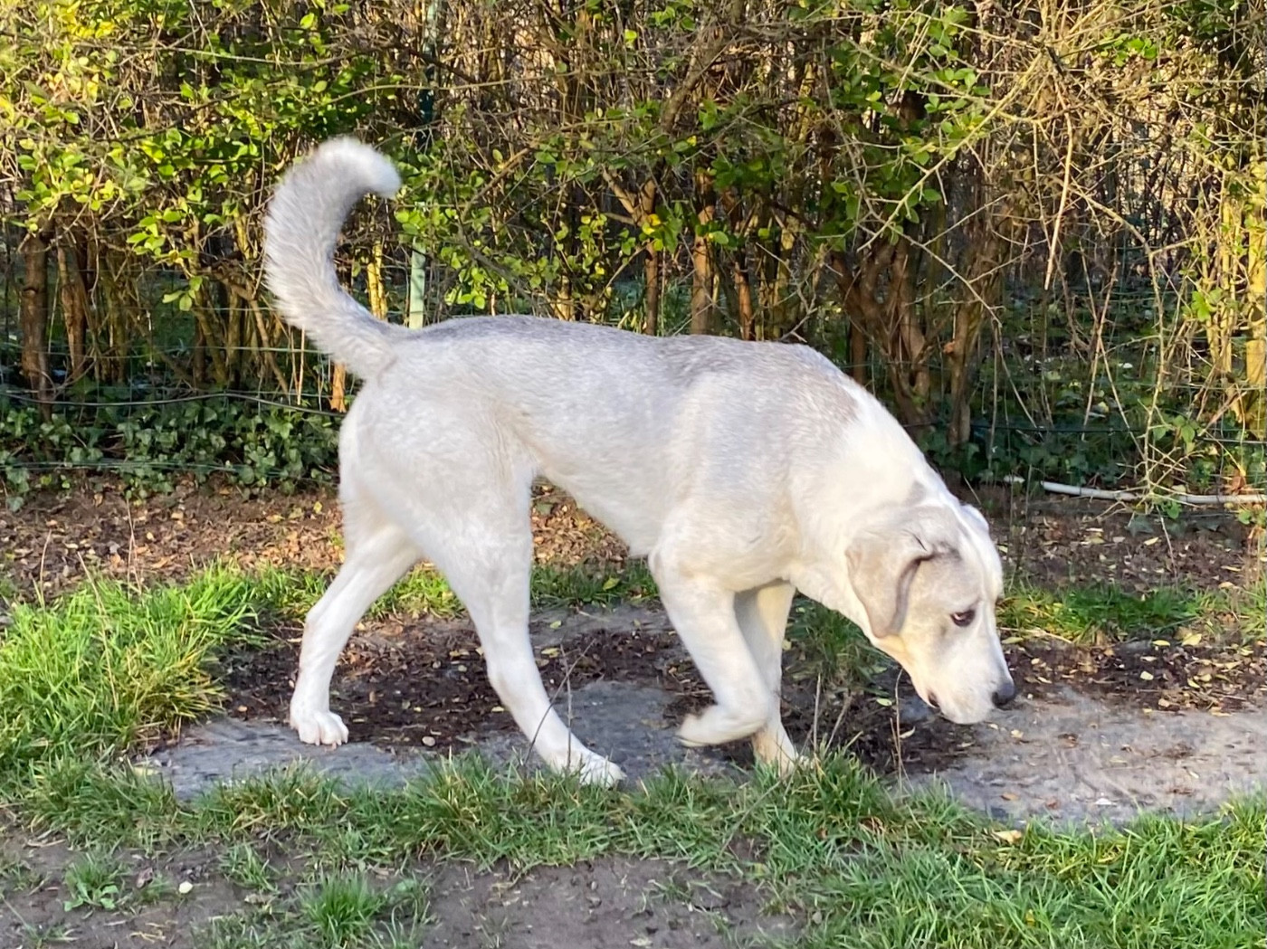 Publication : Du Domaine De La Saulzie Auteur : Domaine de la Saulzie