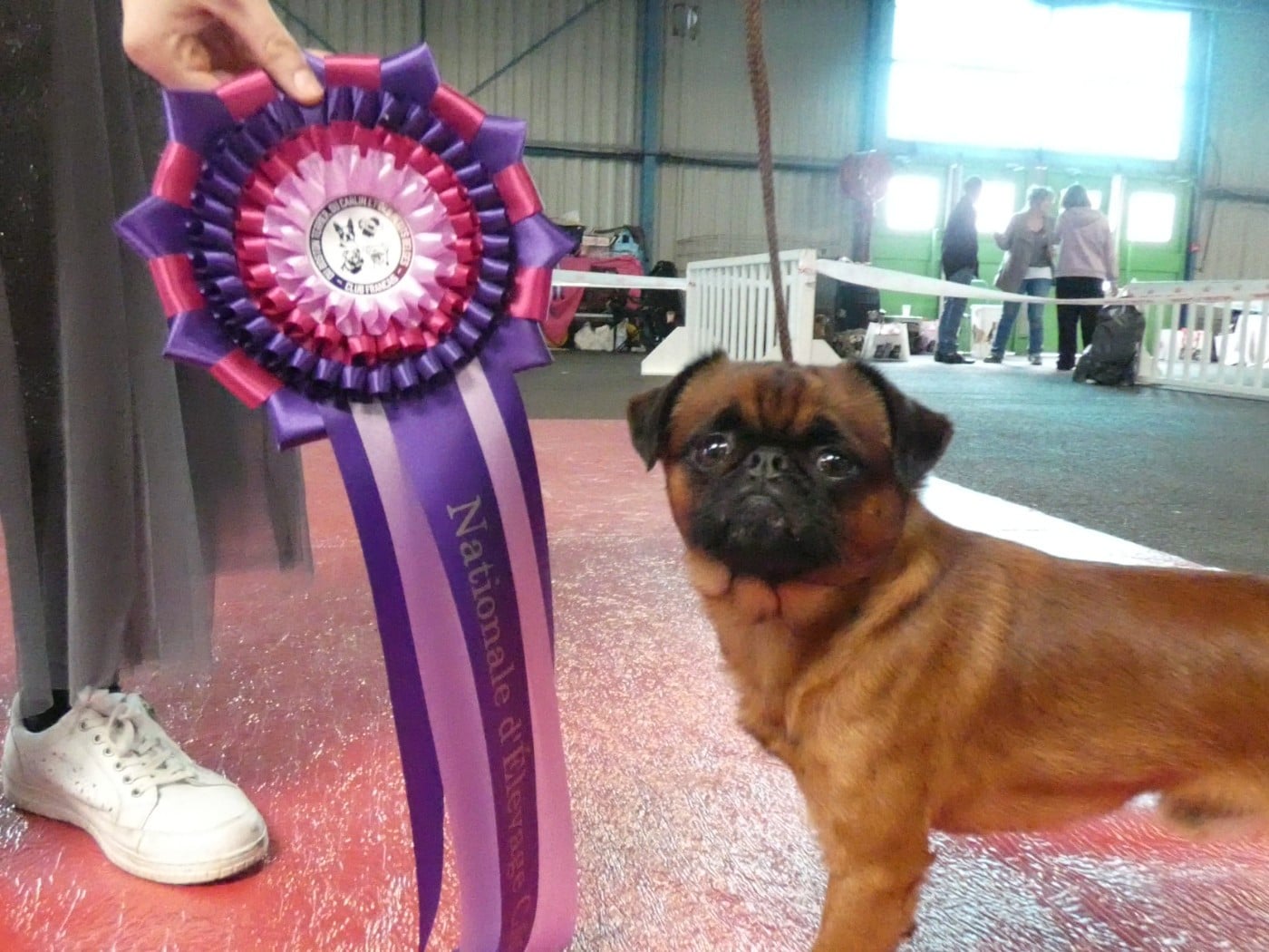 Publication : Des Crocs Du Mas 