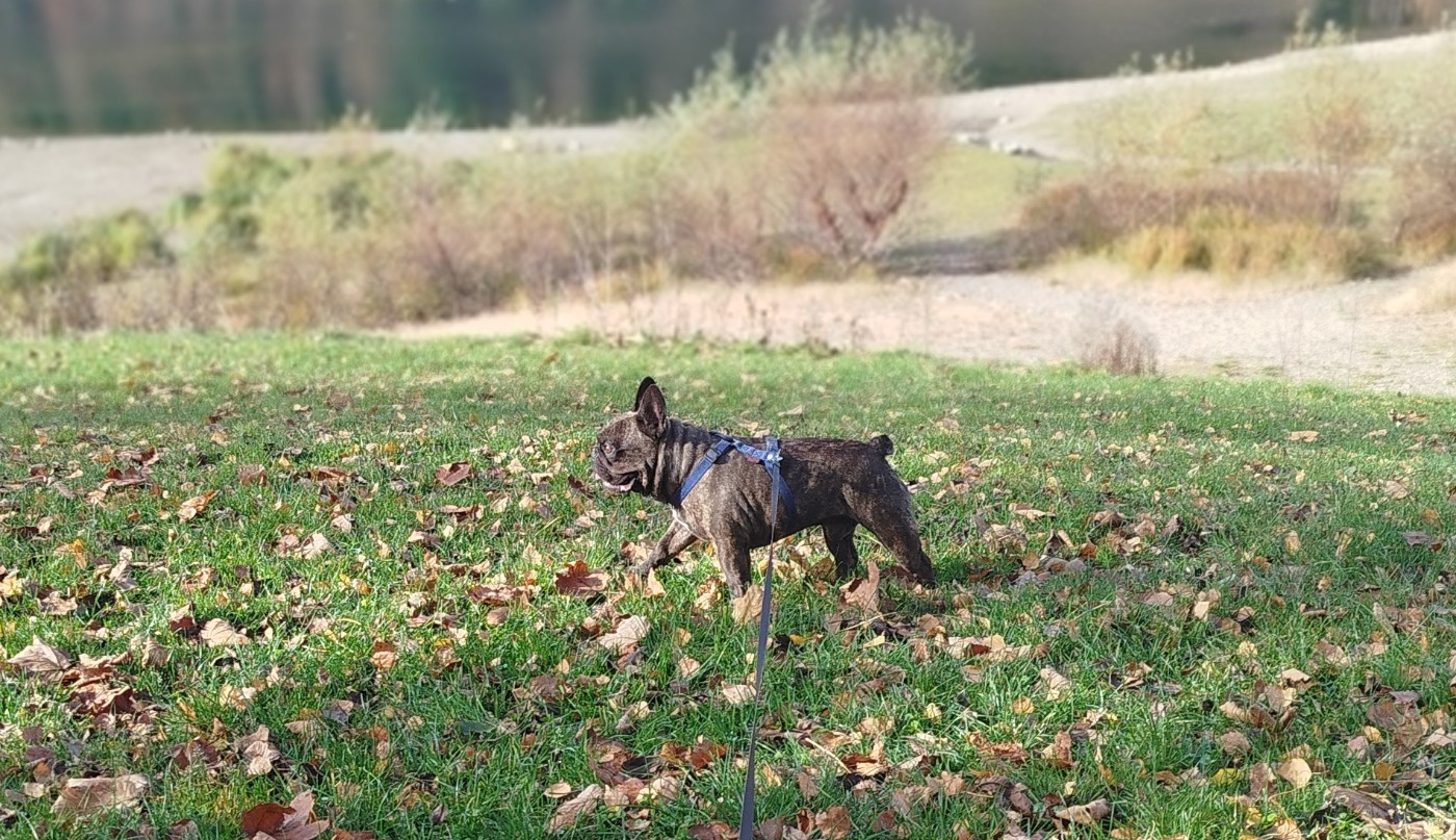 Publication : de l'Éclat Noir