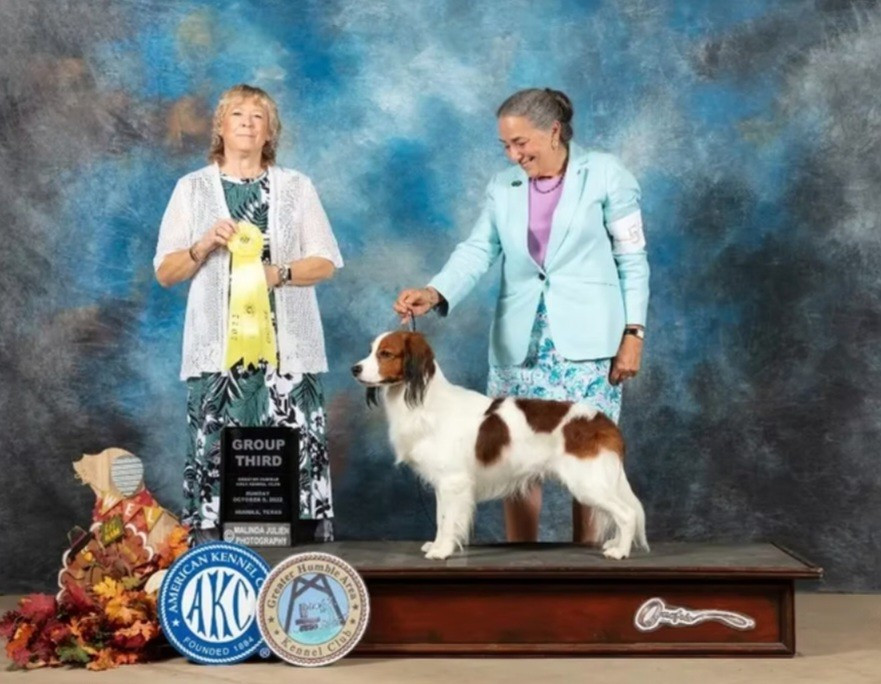 BIS GCHS CH Jubelend Waterbound Orion's Belt (Sans Affixe)