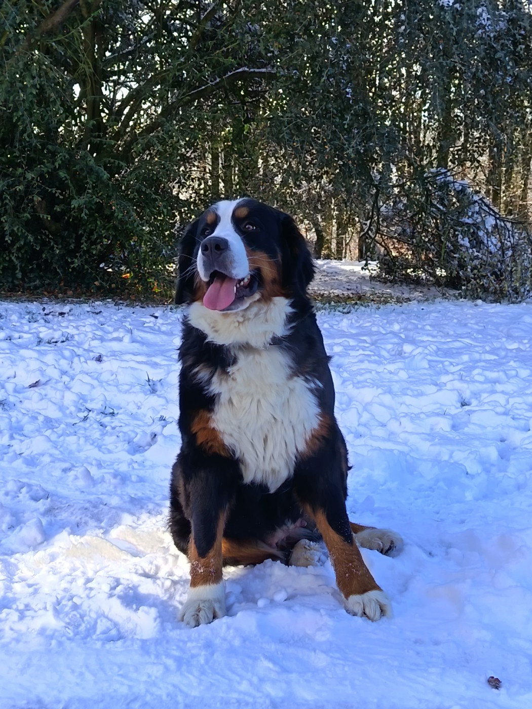 Publication : De La Ferme De Couëffan Auteur : Sandie