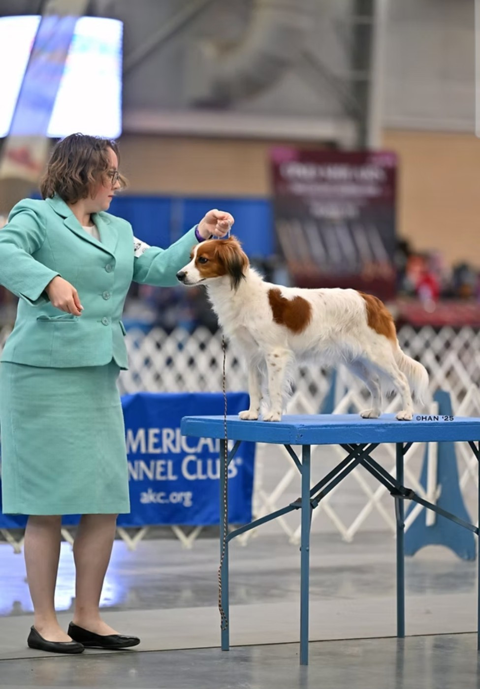 GCH CH Waterbound Optimistic Spirit DCAT SWA SCNE SINE SENE SCM SHDN CGC TKI (Sans Affixe)