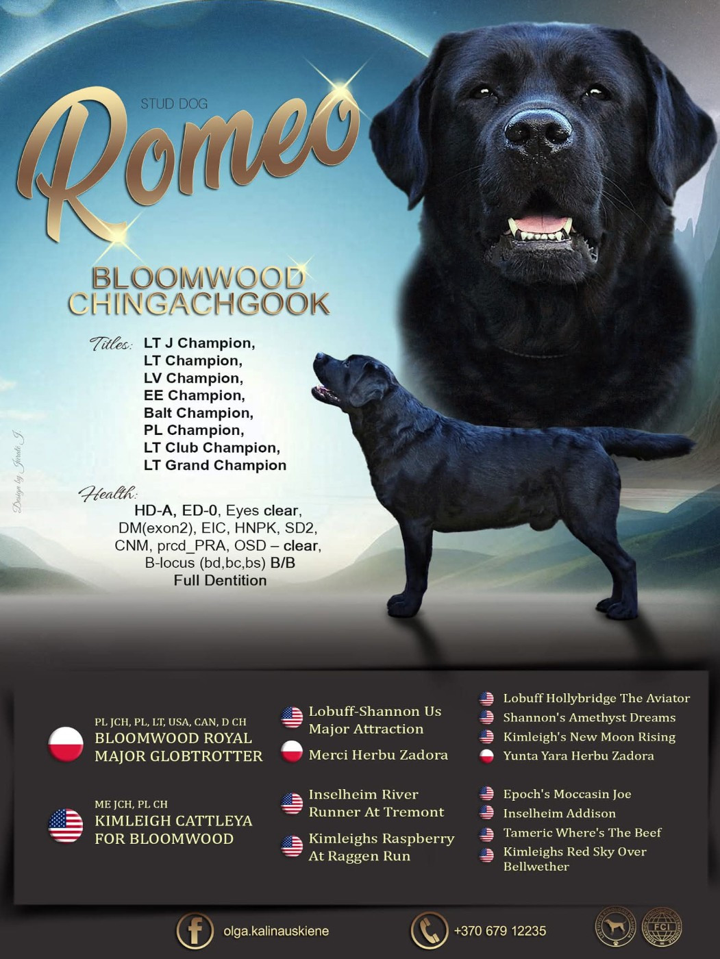 CH. bloomwood CHINGACHGOOK