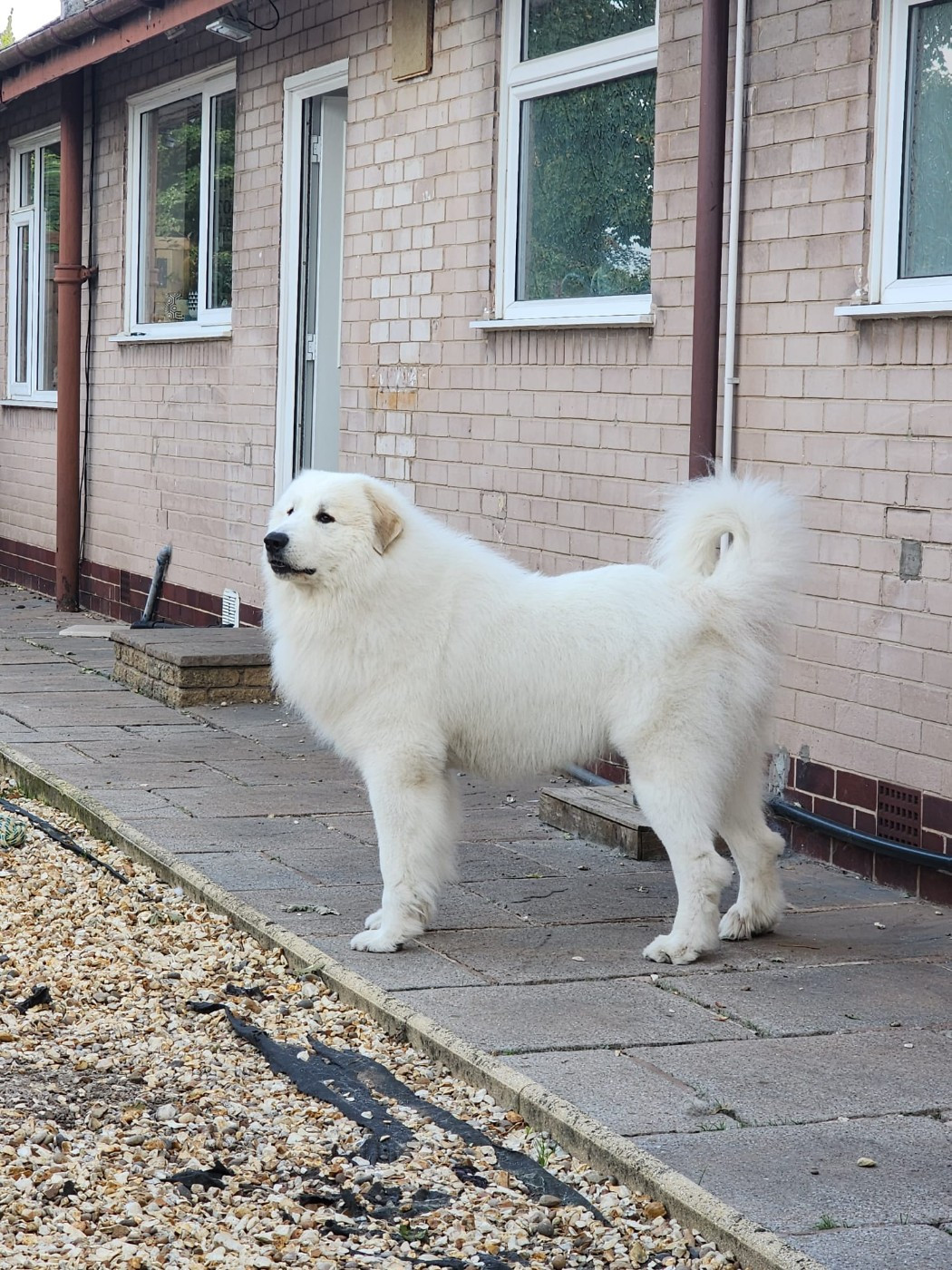 Publication : du Val de Pyrène 