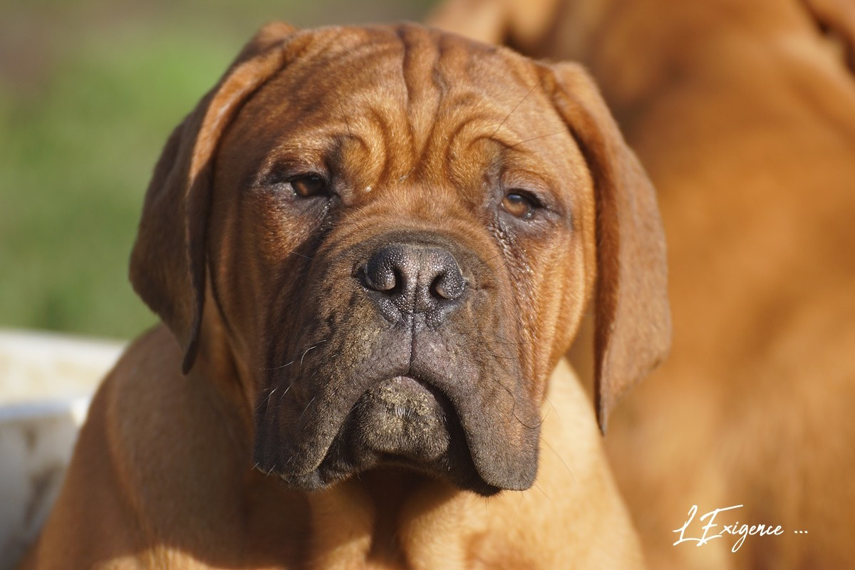 Publication : de l'exigence