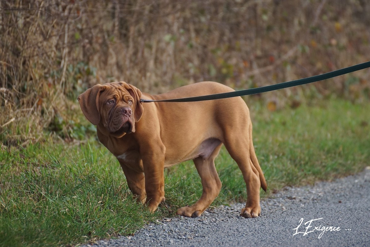 Publication : de l'exigence