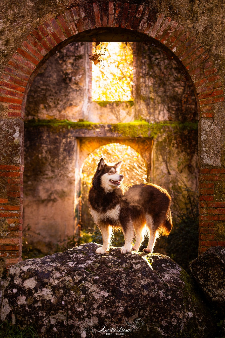 Uhmy du Domaine de Tangusko