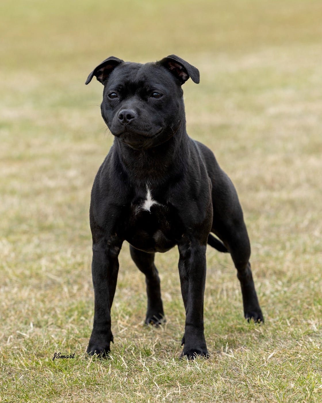 Publication : King Of Caribs