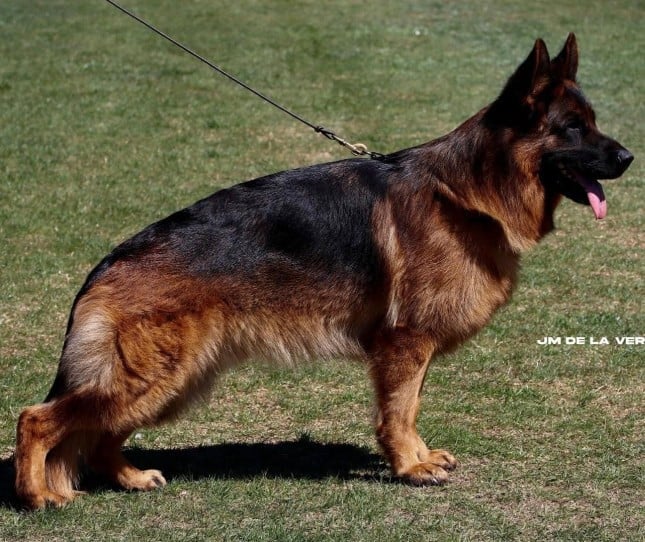 Publication : De naphil