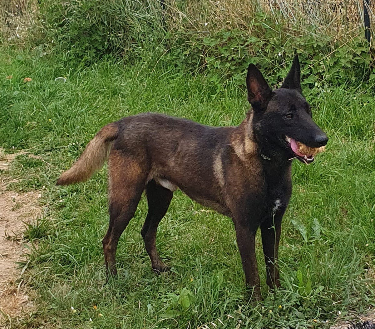 Publication : De La Dream Team Des Charbonheur 