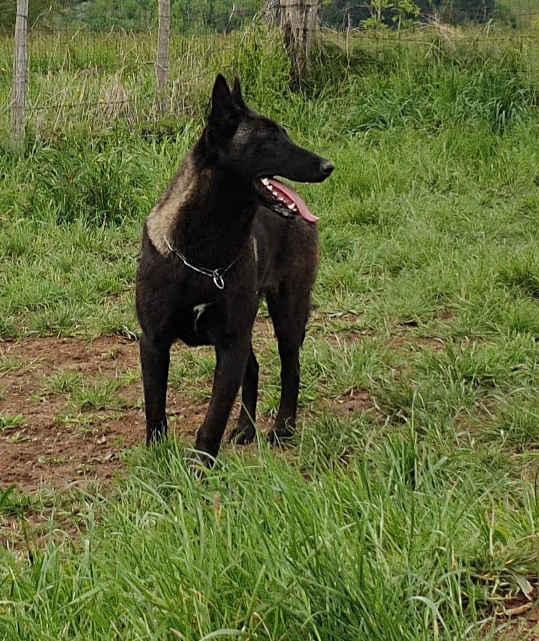 Publication : De La Dream Team Des Charbonheur