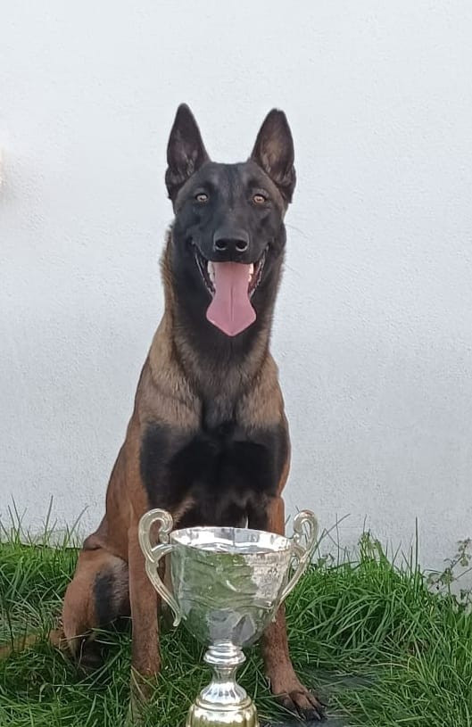 Publication : De La Dream Team Des Charbonheur