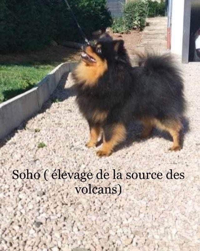 Publication : de la source des volcans Auteur : bea sand pam