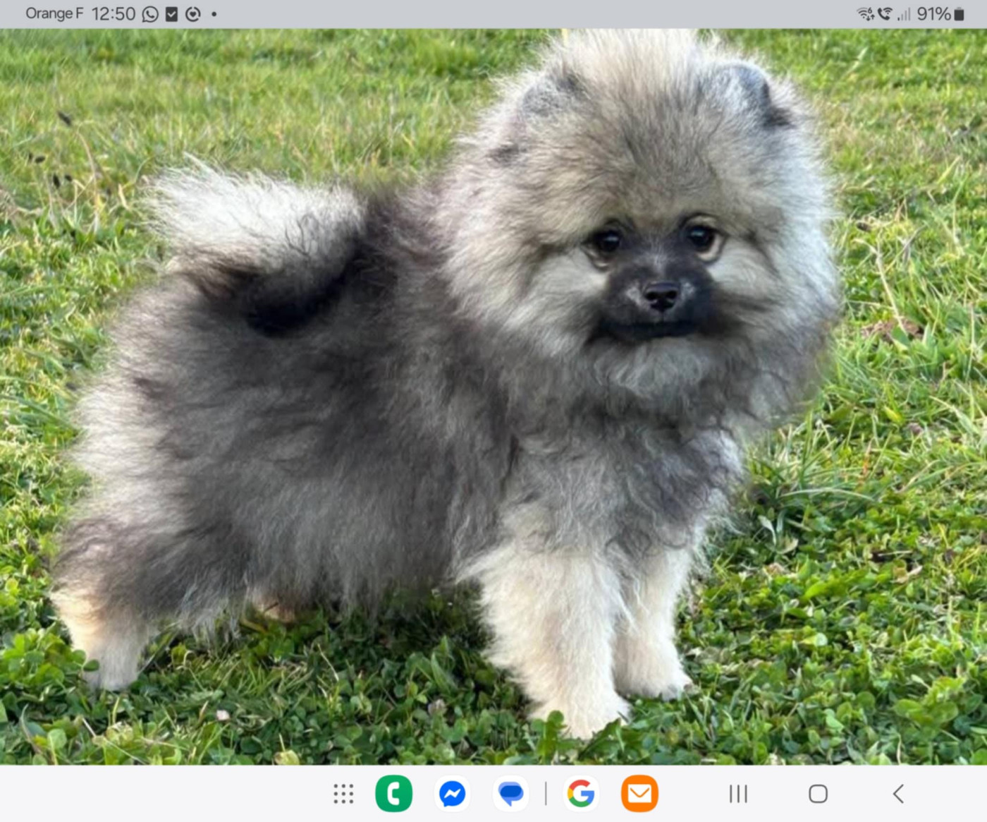 Publication : de la source des volcans Auteur : odile moullard