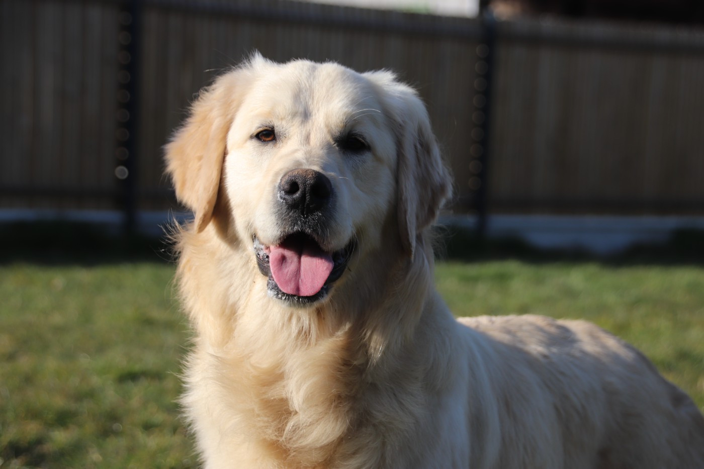 Publication : De La Lisardière