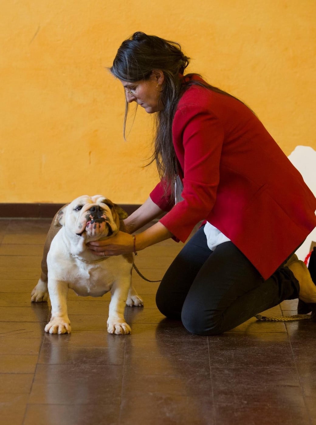 Publication : Hope Diamond 