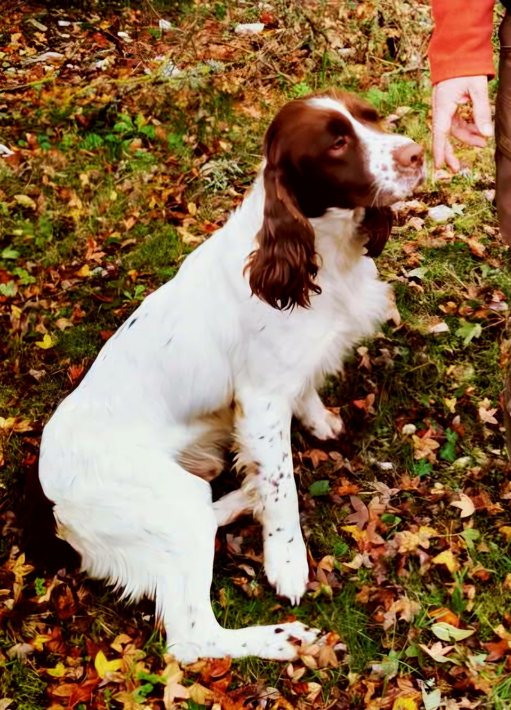 Publication : De La Plaine Du Mailhol