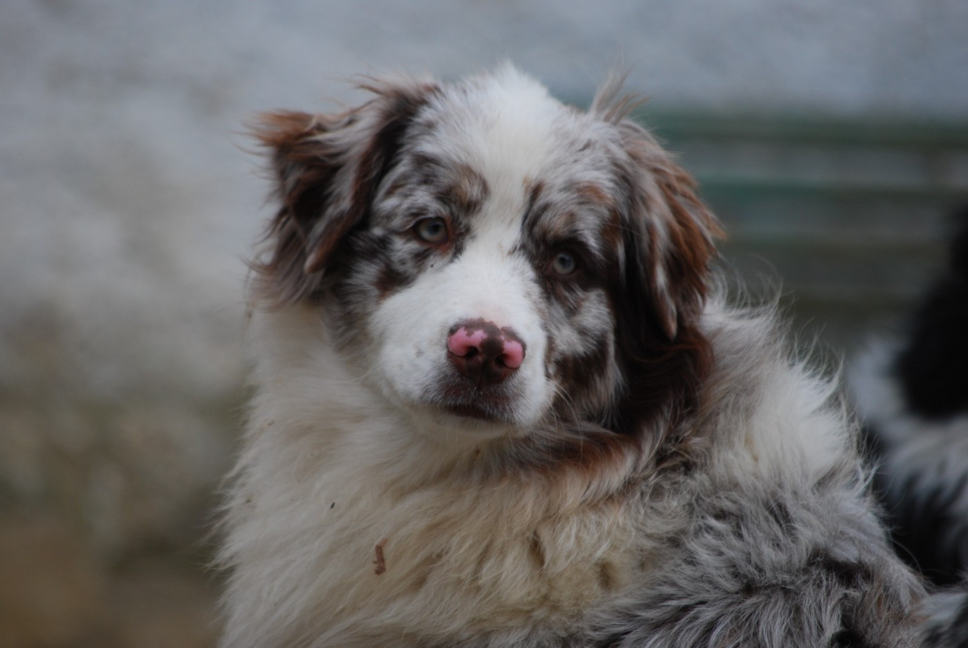 Publication : Des Collines d'Iowa Auteur : Mathilde Huou