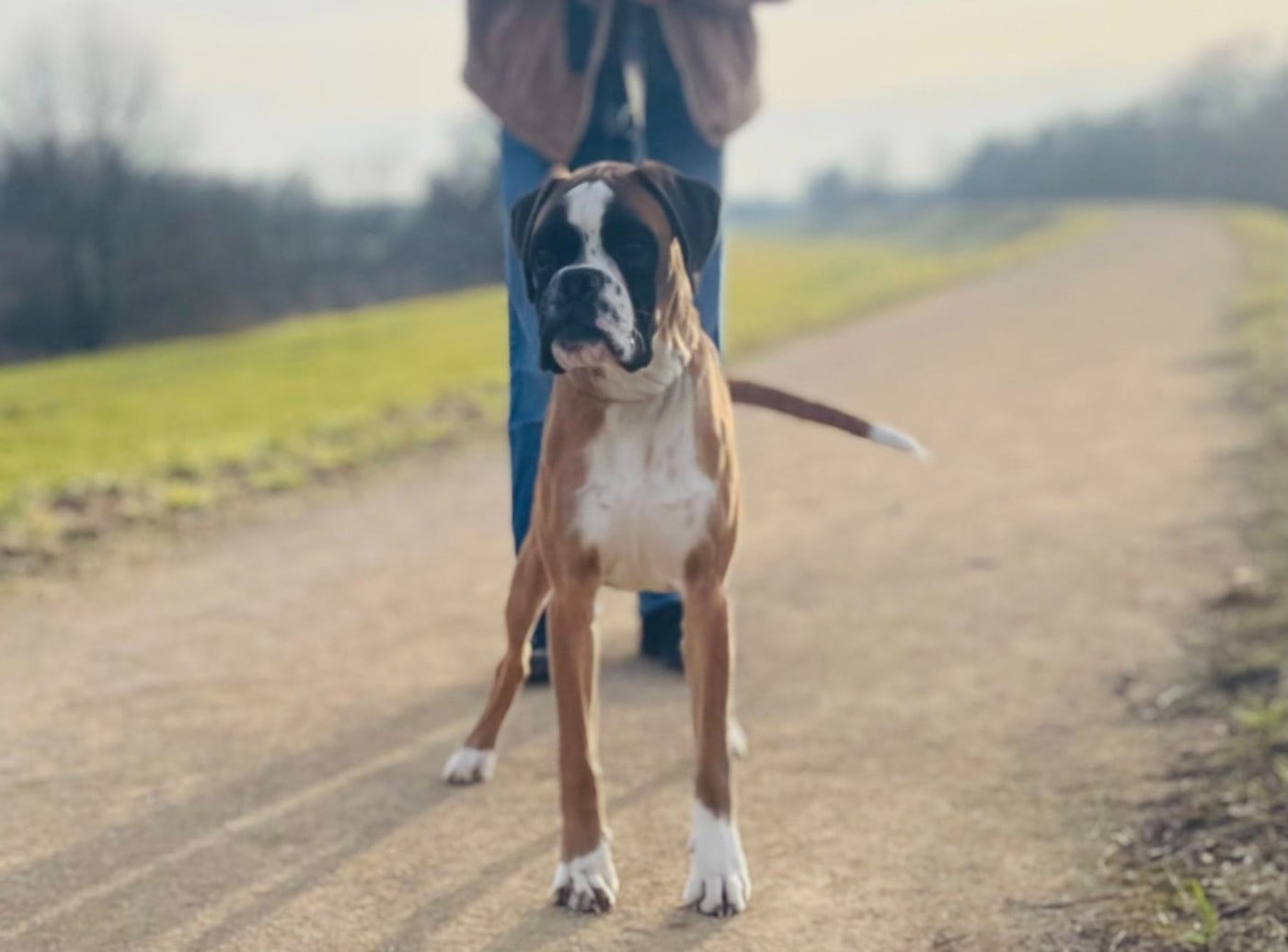 Publication : Du Jardin De Gladys