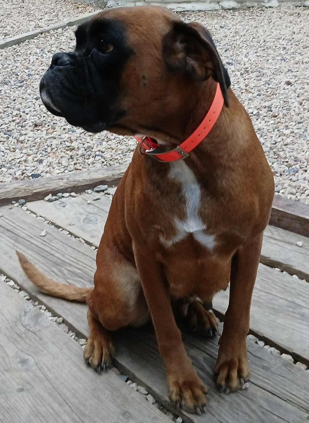 Publication : le chemin du fay 