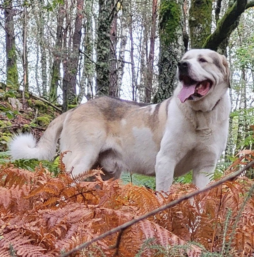 Publication : Du Domaine De La Saulzie Auteur : Propriétaire Yann Colas