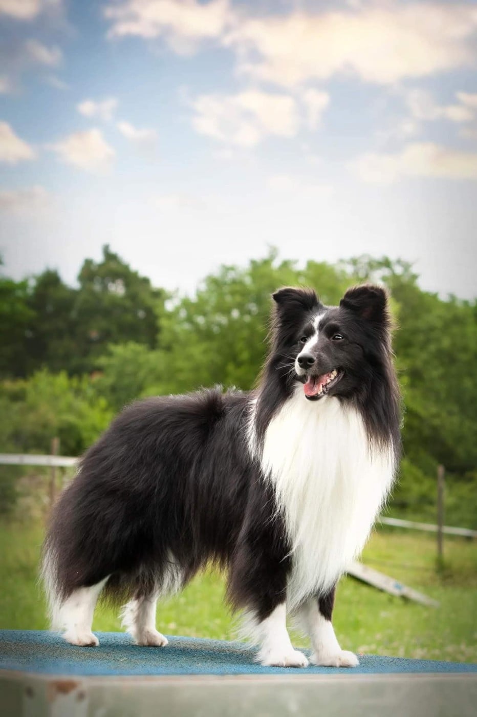 Publication : Du vent des moissons