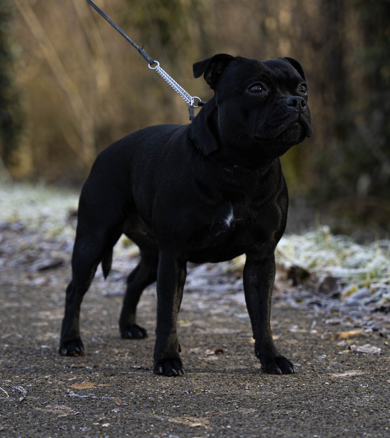 Publication : Staffimpact