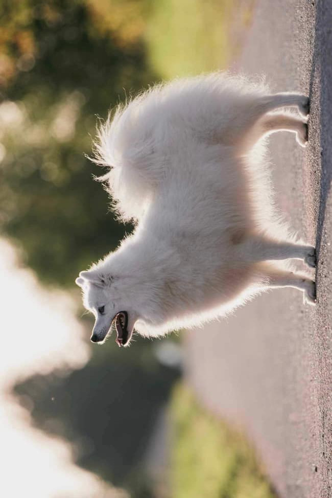 blandvita Touched by kalabalik