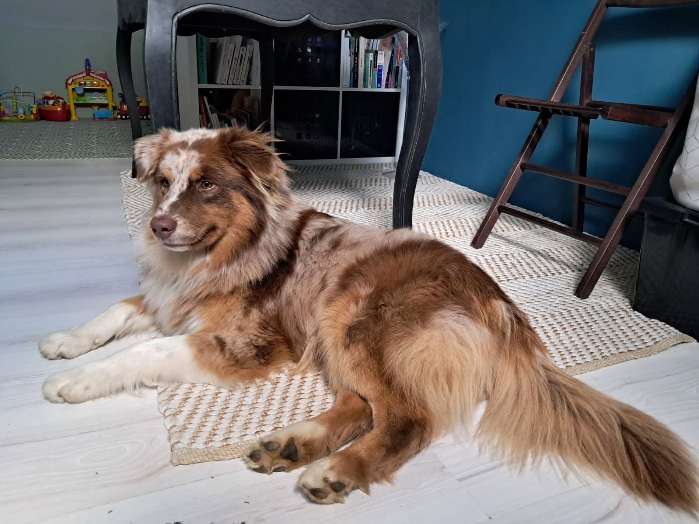 Publication : Du Reve De Jj