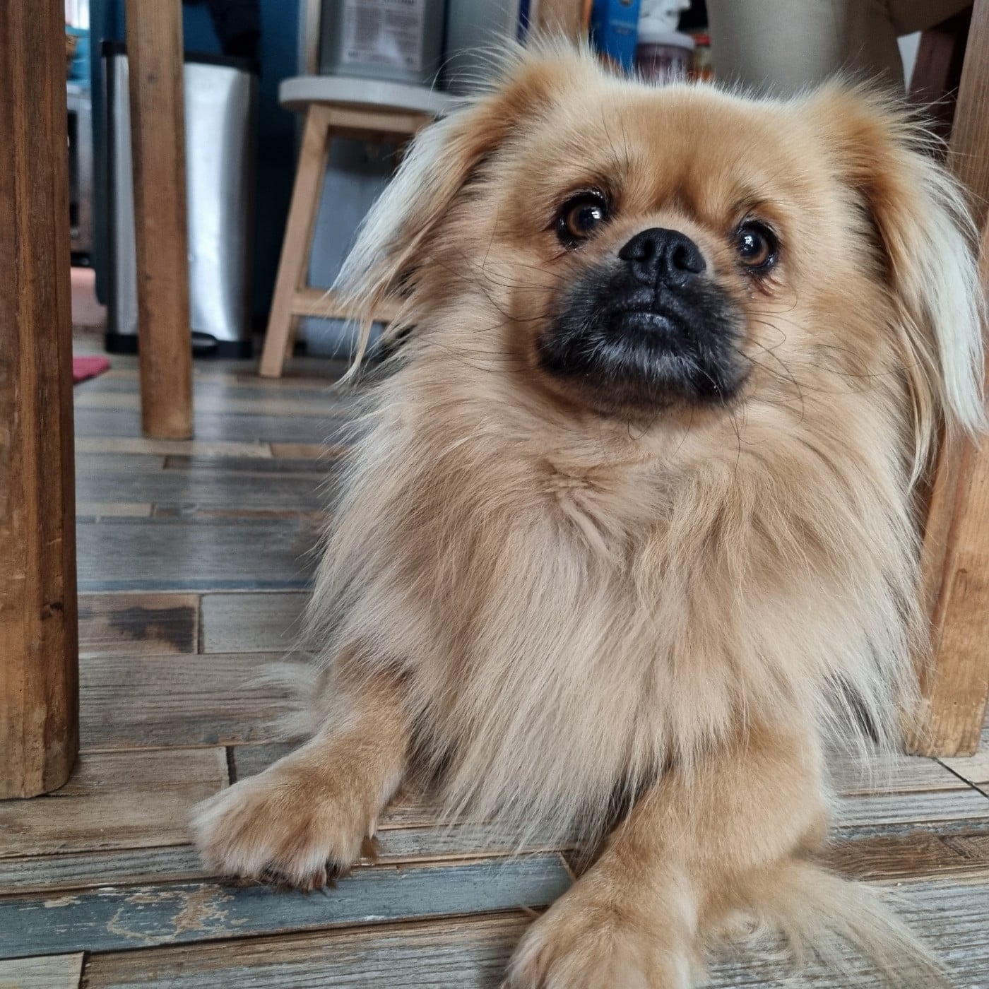 Publication : du Domaine Les Deux Hermines 