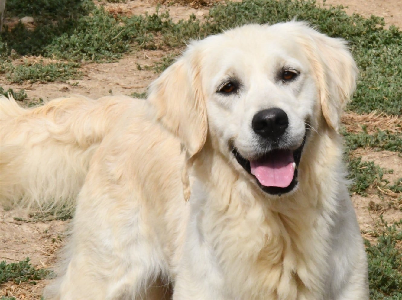 Publication : Des Collines D'Evereven Auteur : Evereven© 2025