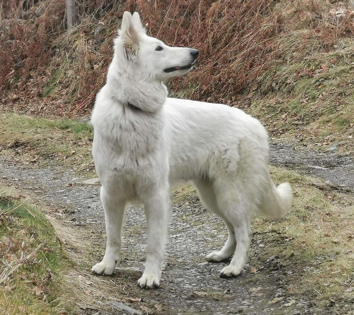 Publication : du Domaine De Cap Dé Lastouse