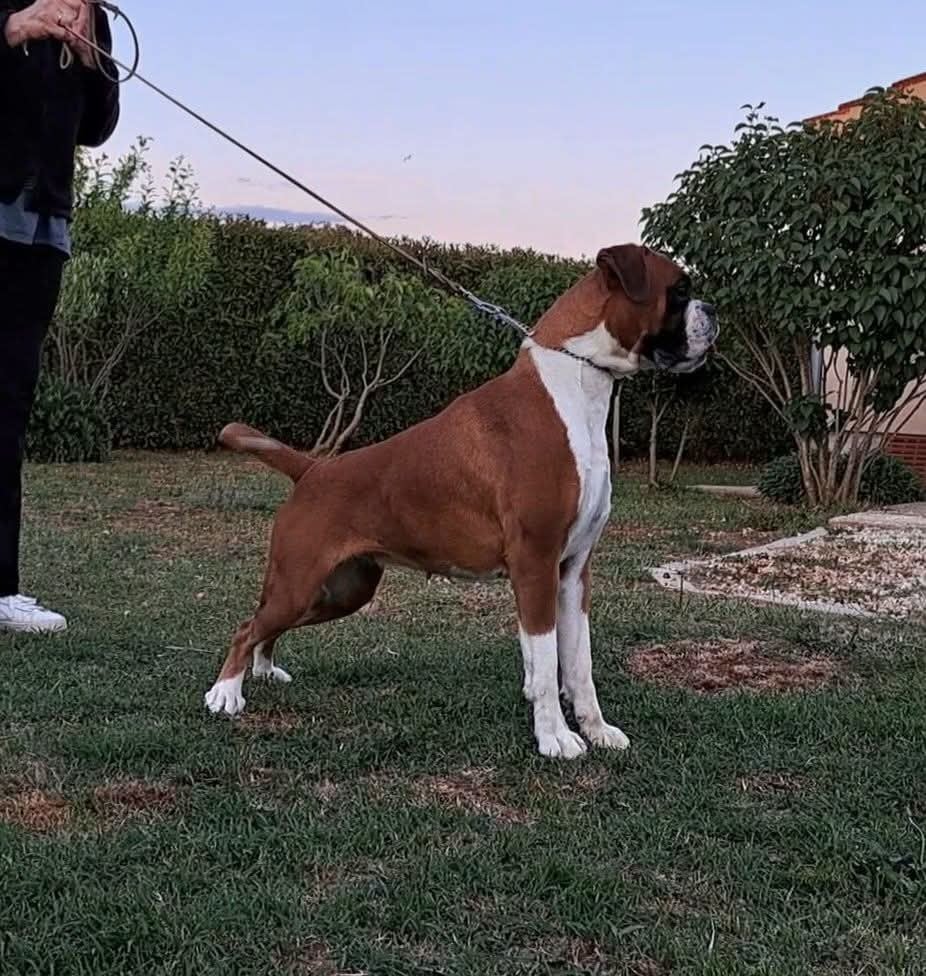 Publication : Des Collines Ardennaise 