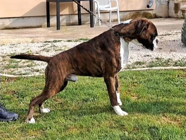 Publication : Des Collines Ardennaise 