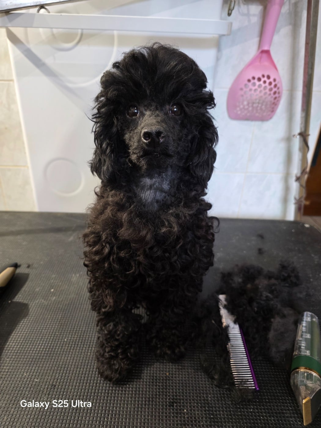 Publication : lovely yupanki