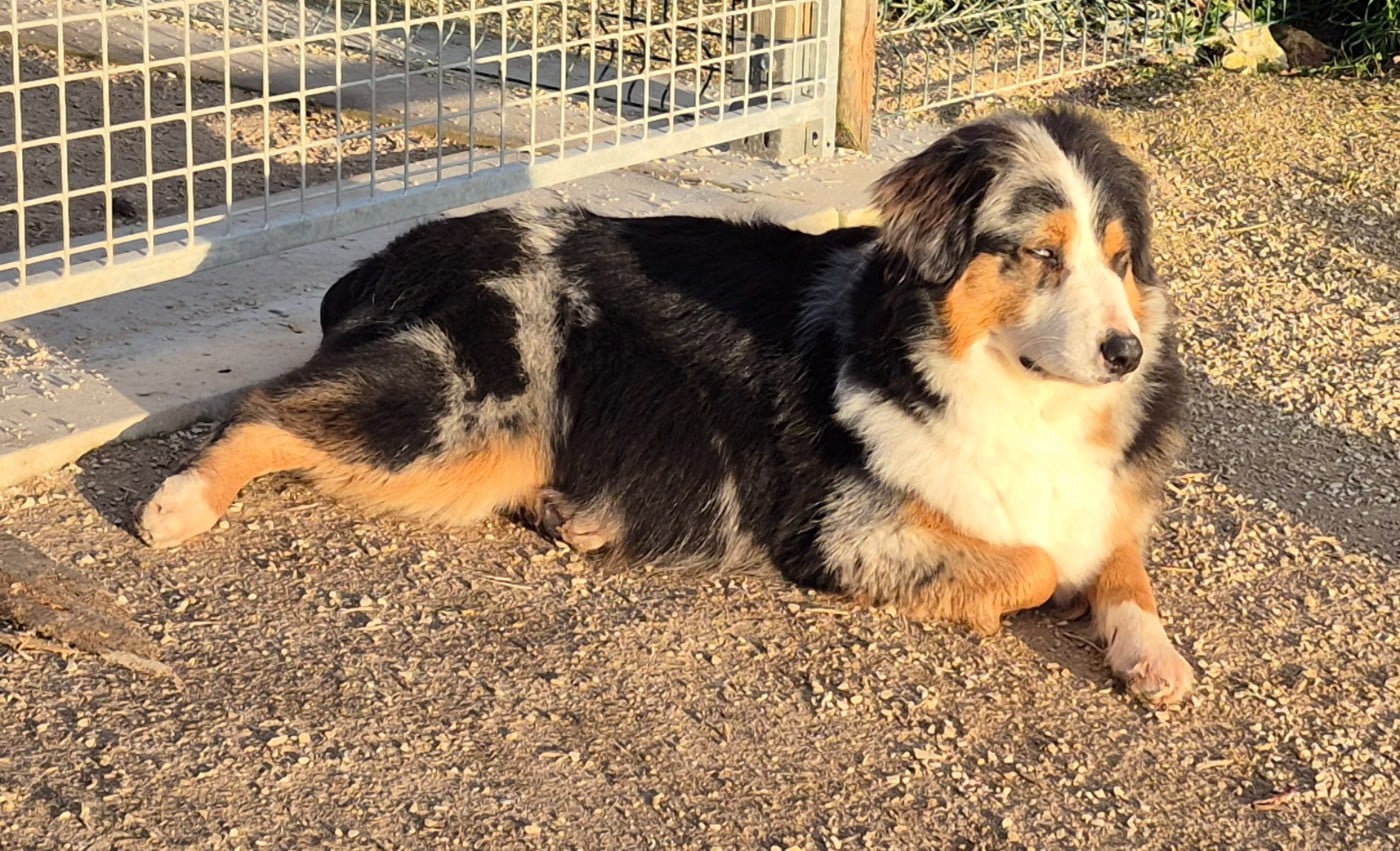 Publication : Des Chrysalides Arc En Ciel 