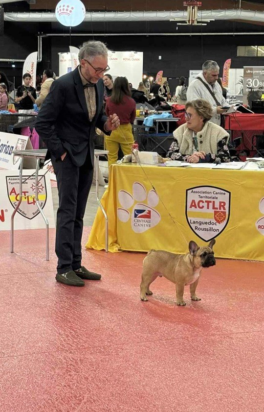 Publication : du Chevalier Gascon Auteur : LAGARDERE CHEVALIER GASCON