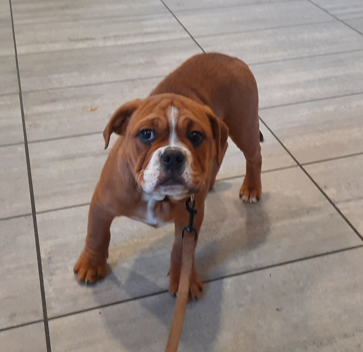 Publication : des Terres de Groie