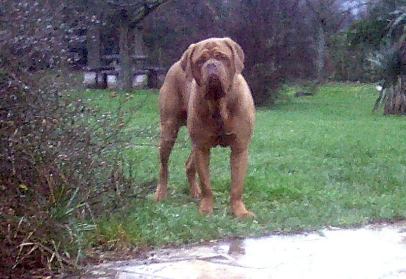 Publication : Nostalgie de France Auteur : Nostalgie de France