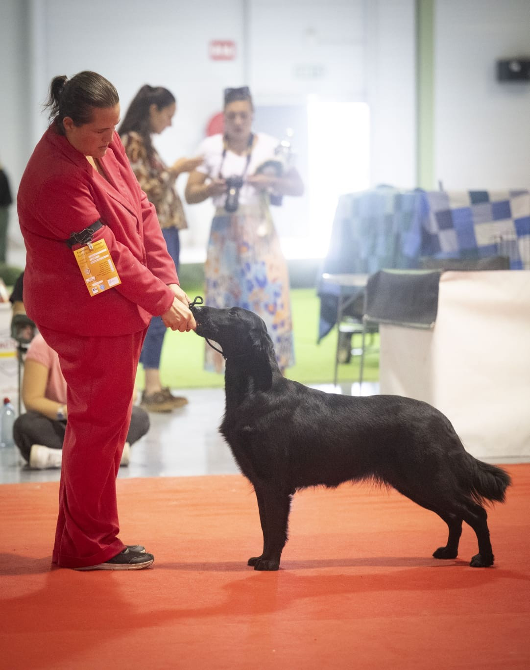 Publication : de la Passe de l'Eider 