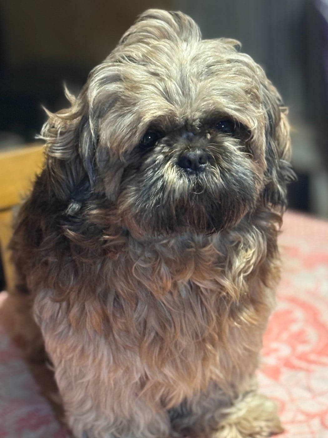 Publication : Du Chemin Des Petits Clos